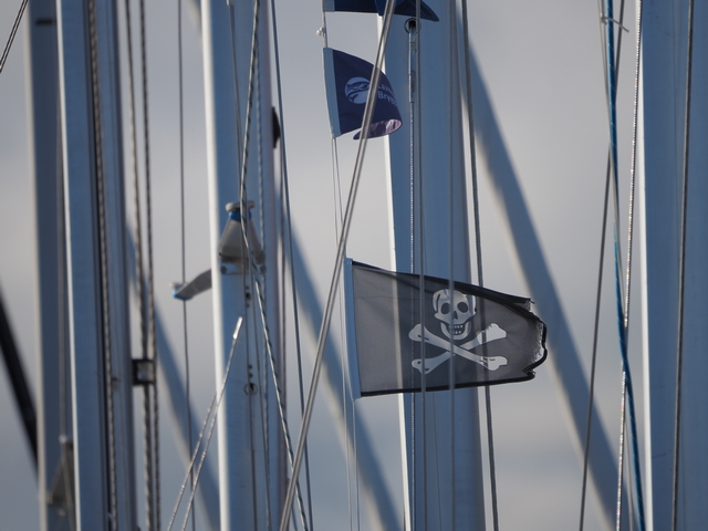 Olympus 100-400_13w.jpg