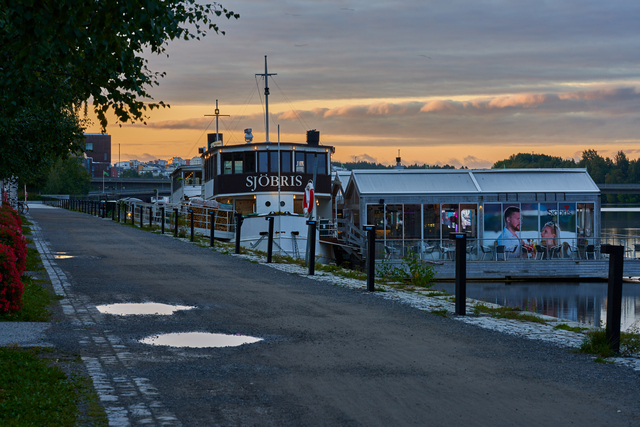 Voigtländer Macro 110mm_18w.jpg