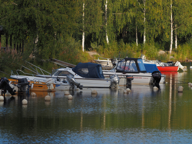 Olympus E-M10 IV_6w.jpg