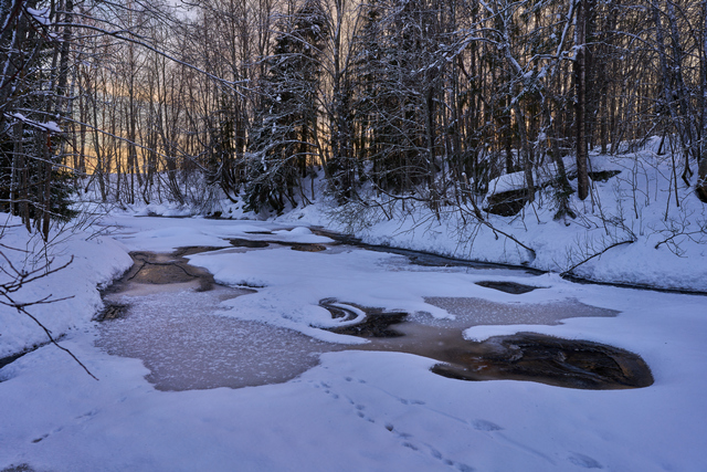 Samyang V-AF 24mm f1.8_17w.jpg
