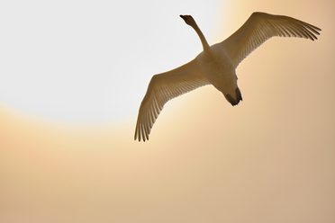 Fujifilm X-T4_25.jpg