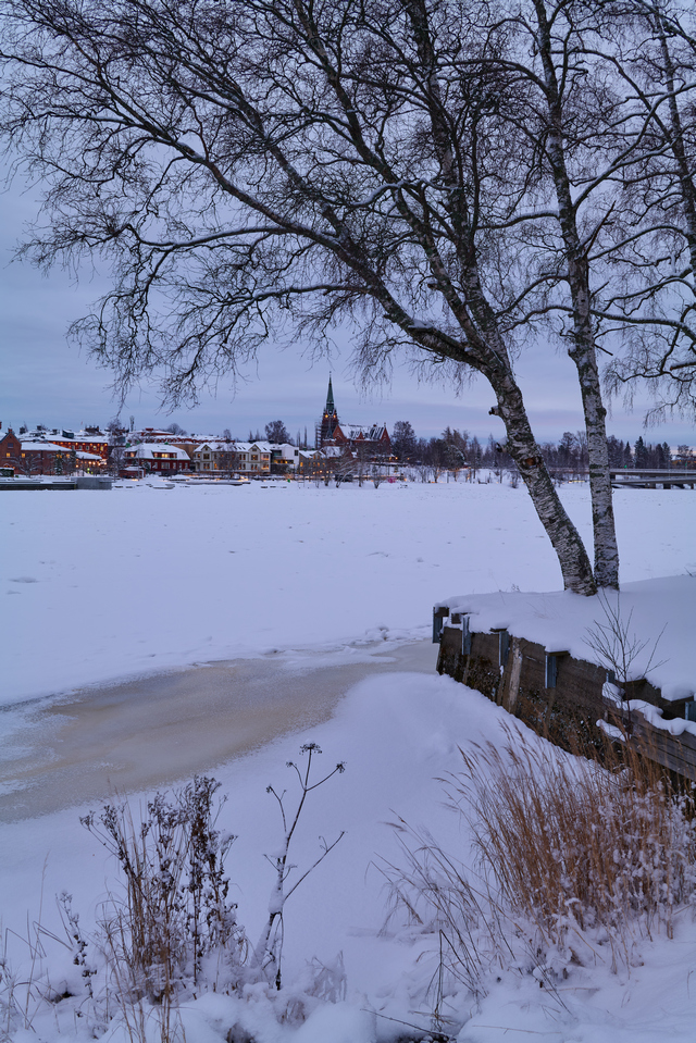 Panaosonic S 35mm f1.8_8w.jpg