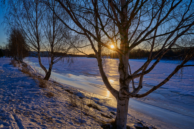 Nikon Z 28-75 f2.8_25w.jpg