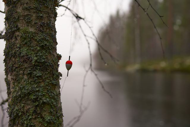 Samyang 50mm f1.4 II_5w.jpg