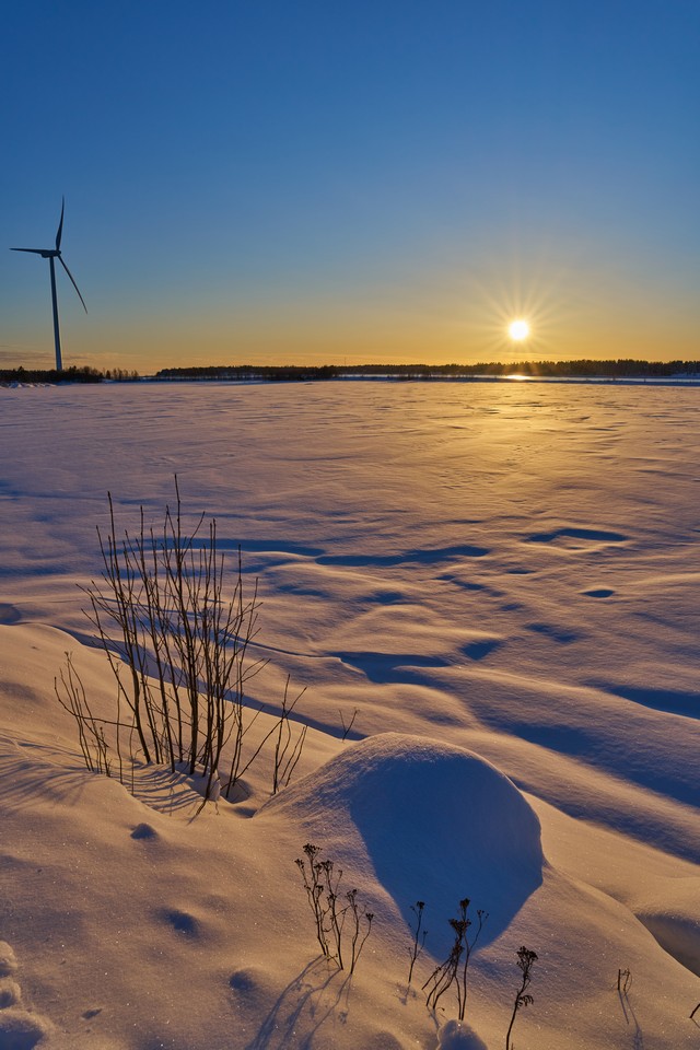 Sony FE 20-70mm f4_15w.jpg