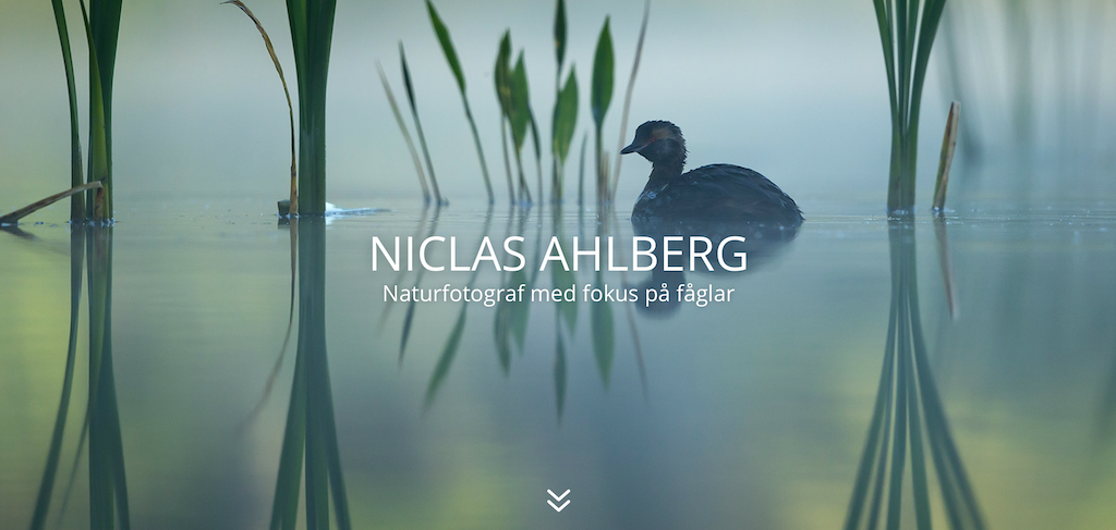 Skärmavbild 2021-05-04 kl. 13.30.44.png