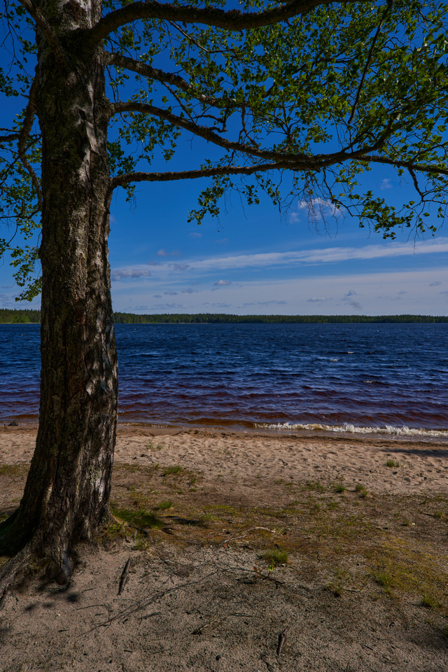 Sigma 16-28 f2.8_21w.jpg