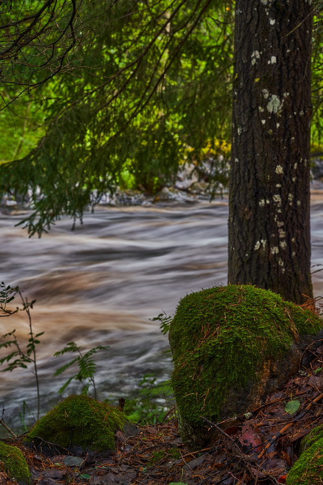 Voigtländer Macro 110mm_14w.jpg