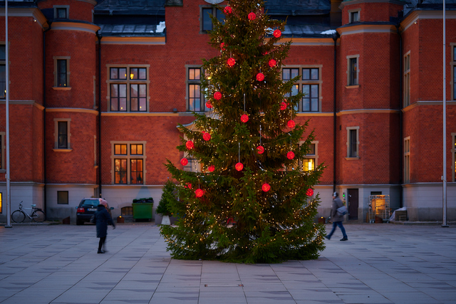 Nikon Z 85 1.8_15w.jpg