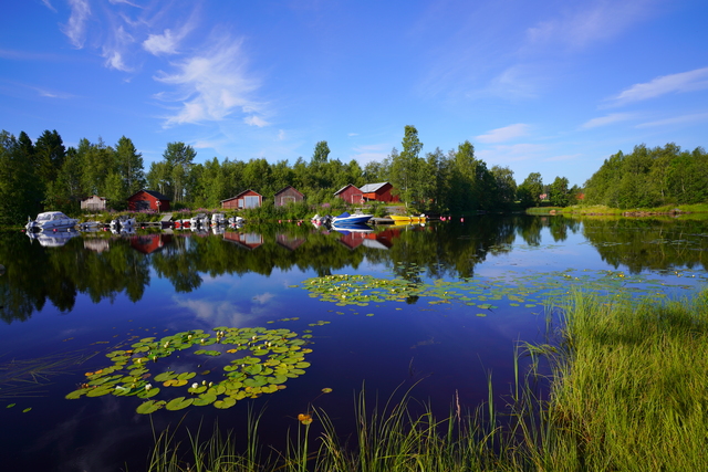 tamron_17 28mm_31w.jpg