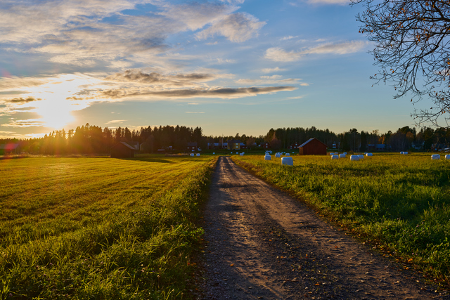 Nikon Z 40mm f2_18w.jpg