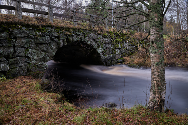 Panasonic 24mm f1.8_6w.jpg