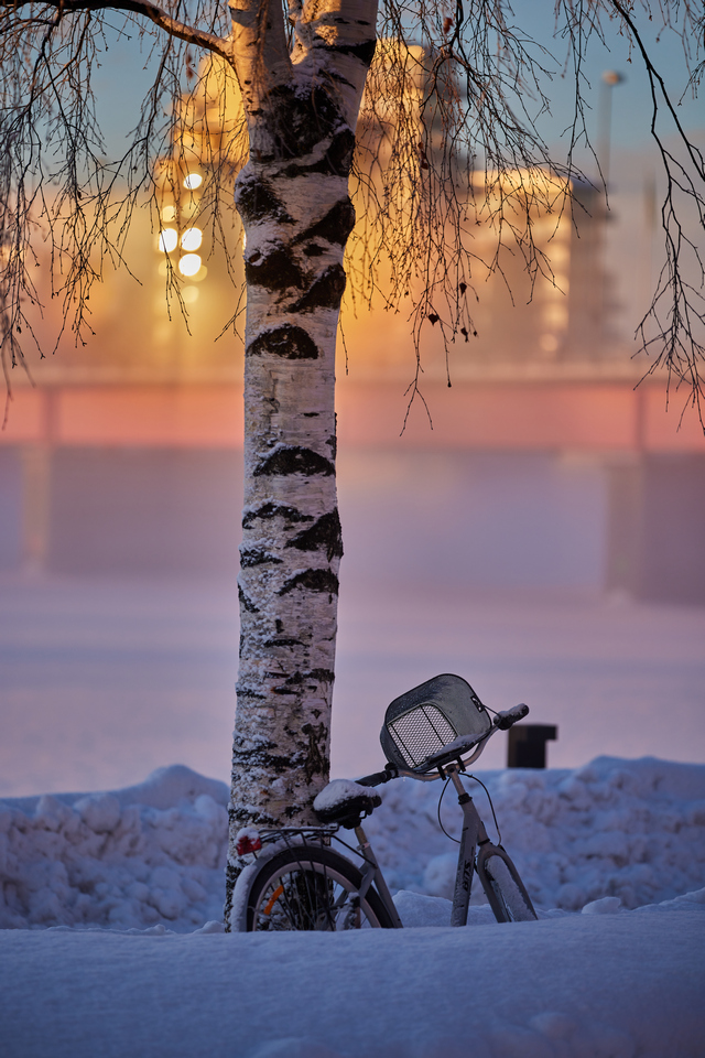 Canon RF 135 f1.8_15w.jpg