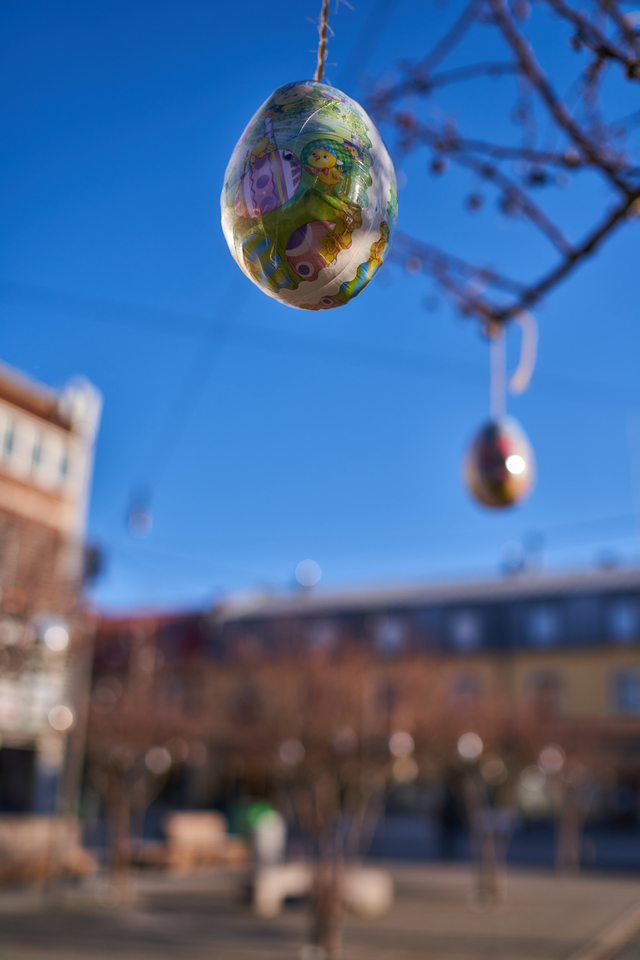 Samyang 35mm f1.4 II_22w.jpg