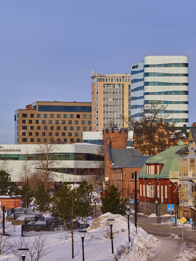 OM System 90mm macro_10w.jpg