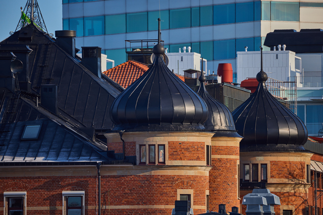 Canon RF 800 f11_10w.jpg