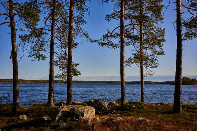 Voigtländer 35mm f2_24w.jpg