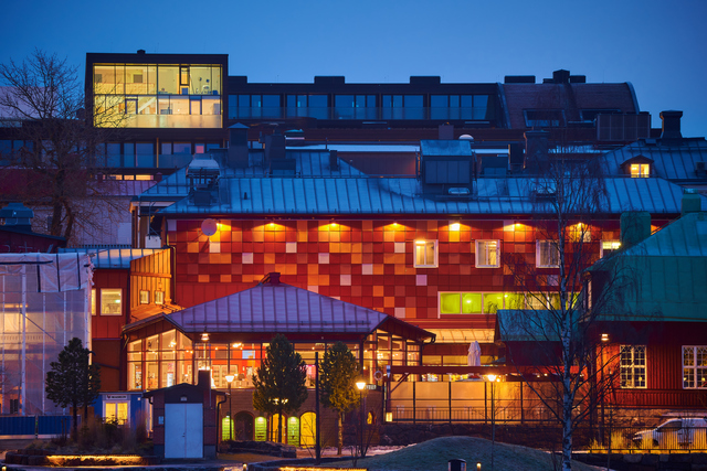 nikon z50 250 dx_13w.jpg