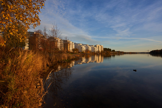 Sigma 20mm f1.4 DN_6w.jpg