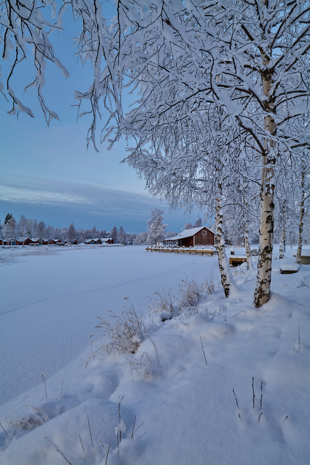 Panasonic S 20-60mm_16w.jpg