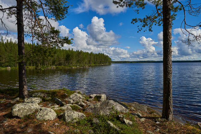 Sony 15mm f1.4_16w.jpg