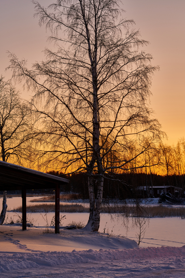 Nikon Z 85 1.8_24w.jpg