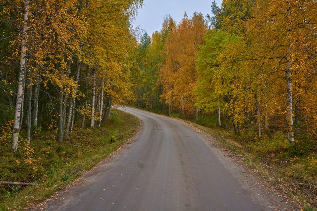 Voigtländer 35mm f1.2_24w.jpg