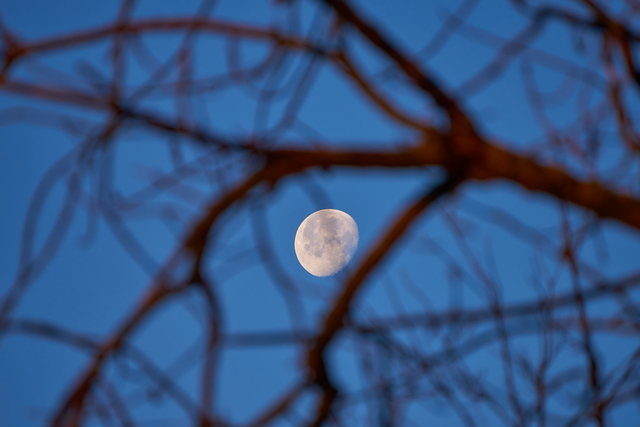 Tamron 70 300 Sony_21w.jpg