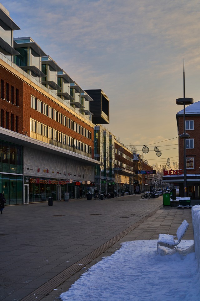 Sony FE 50mm f1.4 GM_25w.jpg