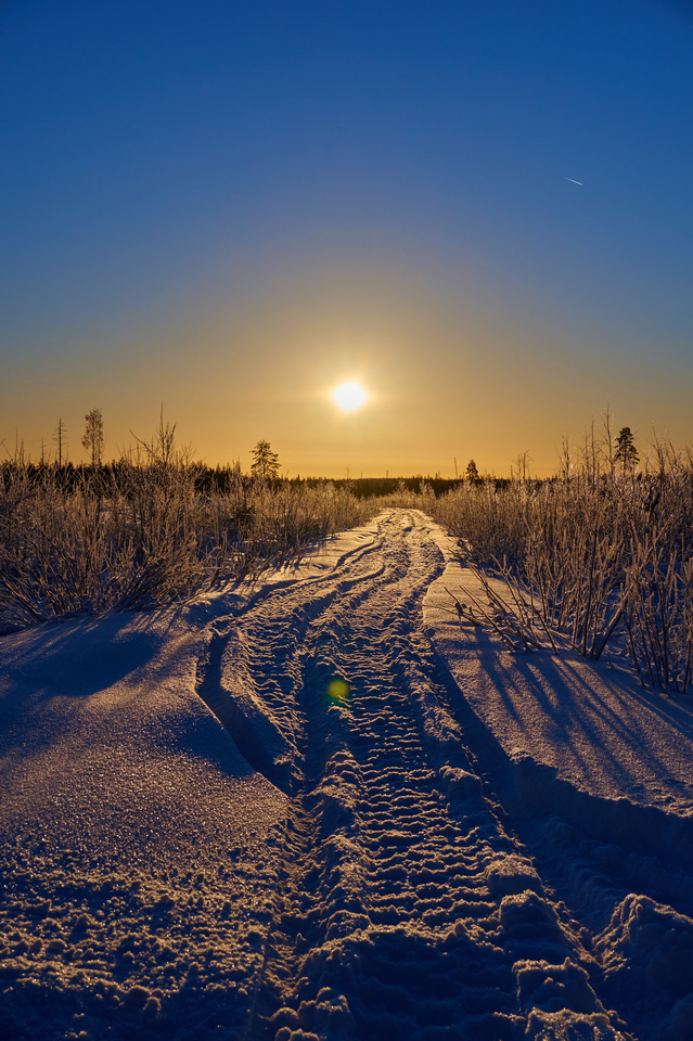 Nikon Z 18-140mm_29w.jpg