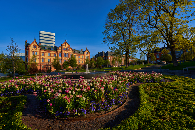 Sony 14mm f1.8_26w.jpg