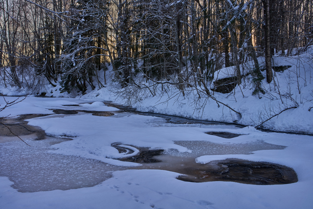 Samyang V-AF 35mm f1.8_12w.jpg