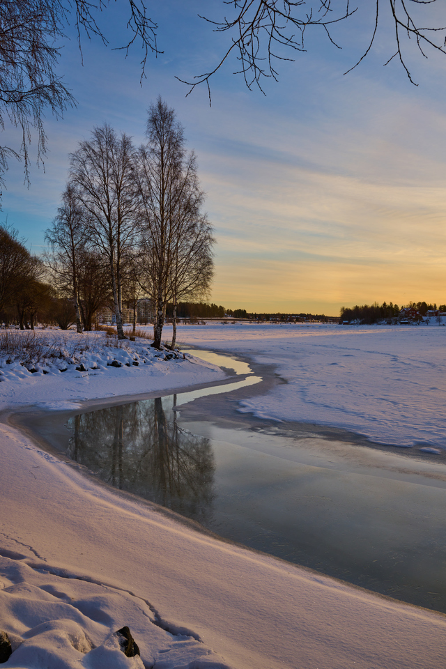 Nikon Z 24-120mm_43w.jpg