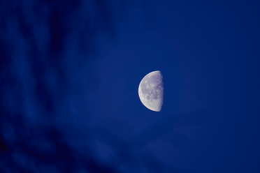 Sigma 100-400mm_19.jpg