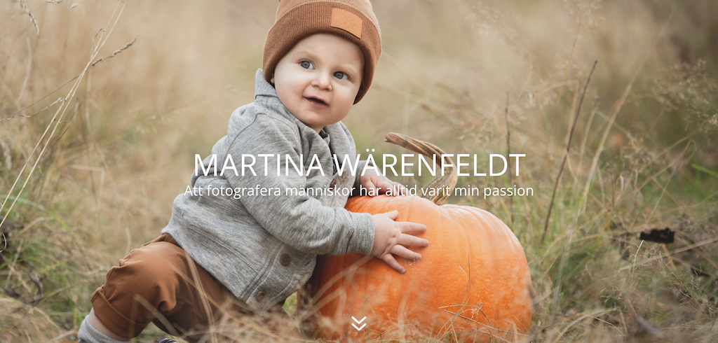 Skärmavbild 2021-05-03 kl. 12.45.07.png