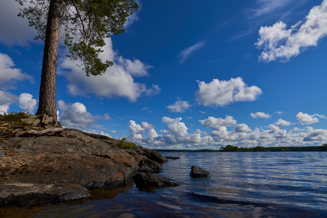 Sony 11mm f1.8_25w.jpg