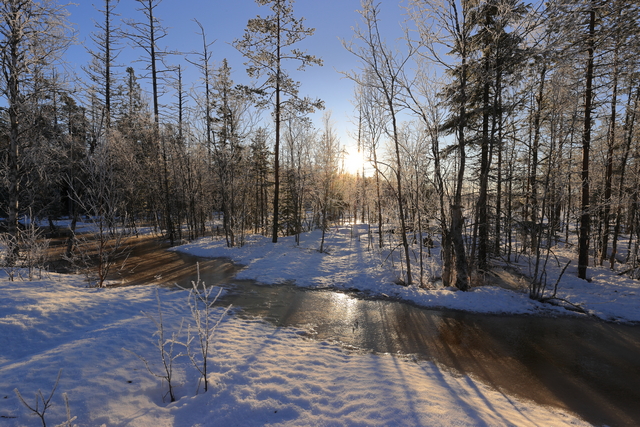 canon eos 1dx mark III_15w.jpg