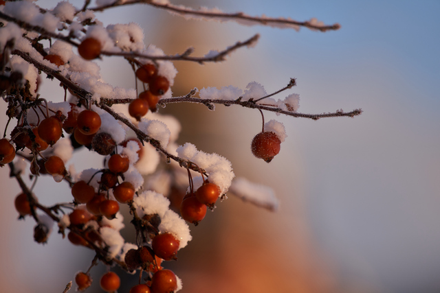 Sigma 60-600mm DN_16w.jpg