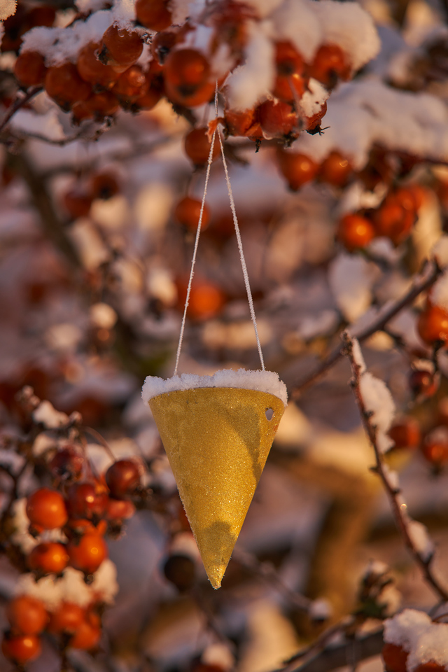 Sigma 60-600mm DN_20w.jpg