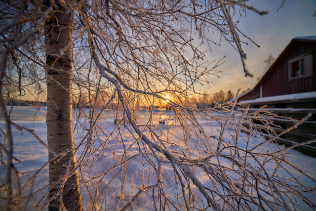 Samyang 14mm Sony_6w.jpg