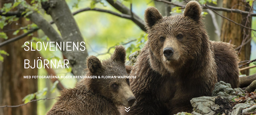 Skärmavbild 2021-08-09 kl. 16.11.15.png