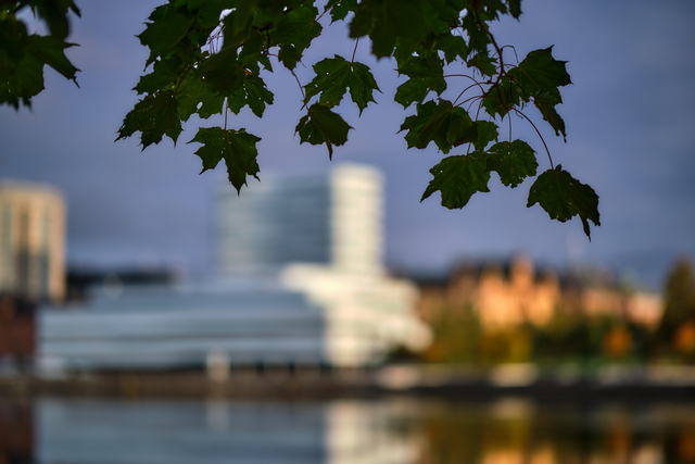 Fujifilm XF 56mm f1.2 WR_9w.jpg