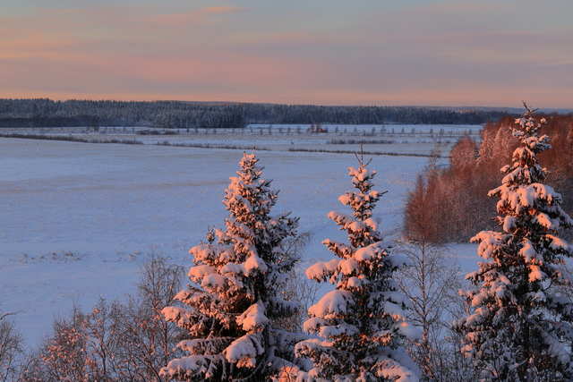 Canon EOS R3_14w.jpg