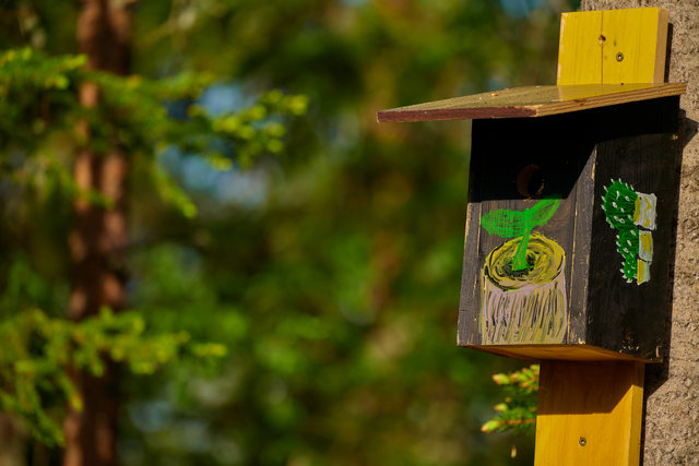 Panasonic S 70_300mm_18w.jpg