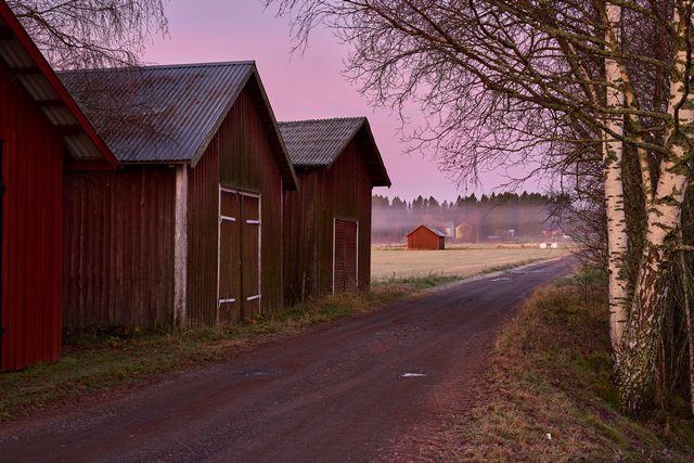 Samyang 50mm f1.4 II_28w.jpg