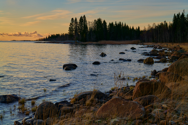 Panasonic S 50mm f1.4_3w.jpg