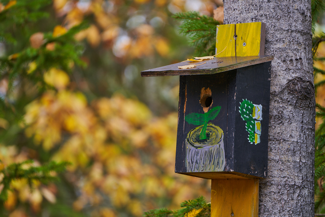 Tamron 50-400mm_9w.jpg