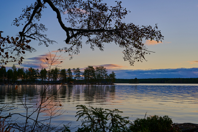 Nikon Z 40mm f2_21w.jpg