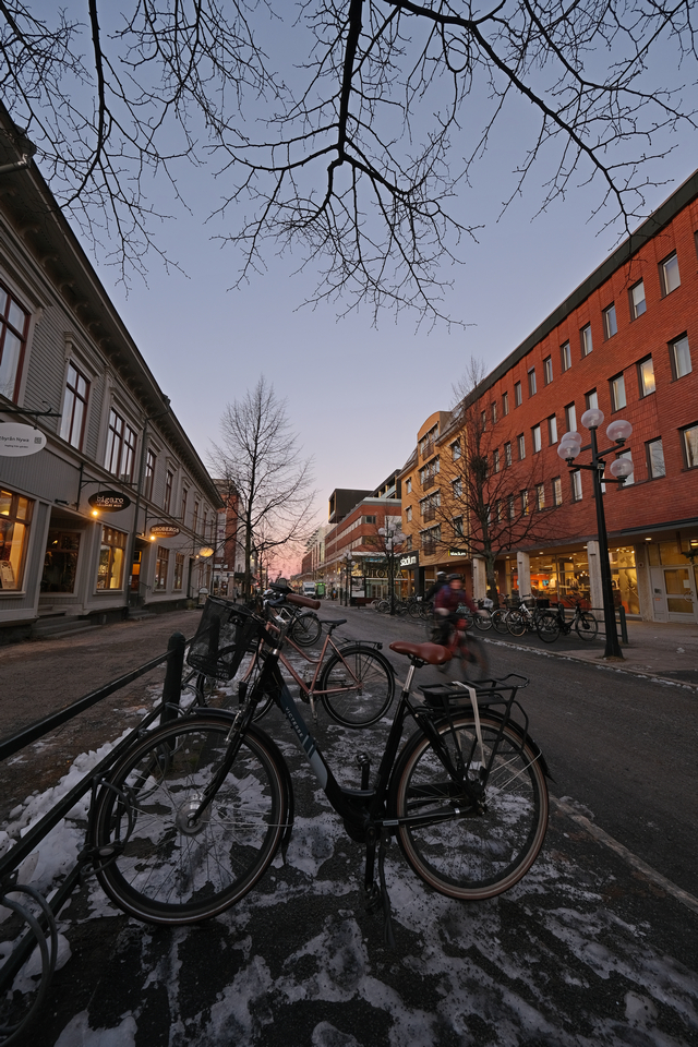 Fujifilm X S10_15w.jpg