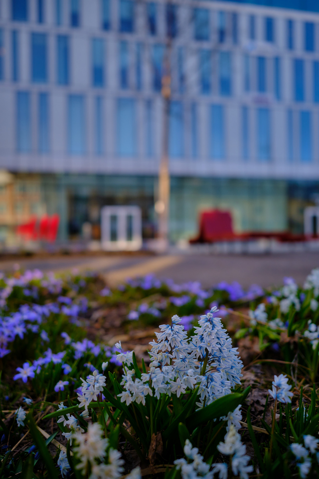 Fuji XF 18mm f1.4_16w.jpg